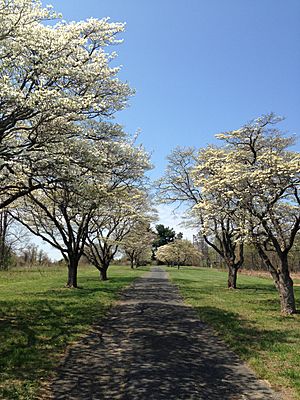 Rockburn Branch Park pathway