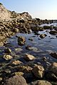 Rocky ringstead bay shore dorset