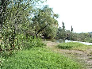 Sabino dam