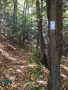 Tunxis "White-Dot" Blue-Blazed hiking trail near Bradley Brook and CT Route 4 in Nassahegon State Forest (Burlington, Connecticut).jpg
