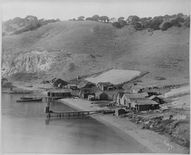 View of Chinese fishing camp against a hillside. Drying grounds, nets cast out to sea, and shanties hugging the shorelin - NARA - 513086