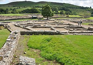 Vindolanda overview