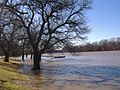 Wabash River Fairbanks Park downstream