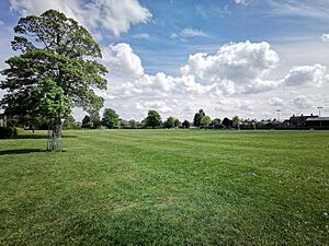 Wem Rec Ground