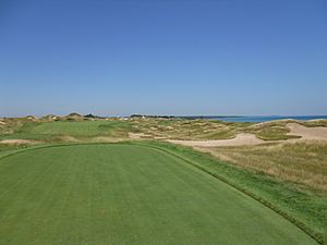 WhistlingStraits11Fairway