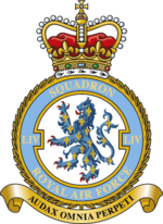 Squadron badge