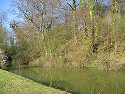 Anstey Castle (geograph 2386536).jpg