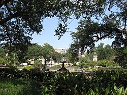 Audubon Park with Tulane