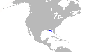 Balaenoptera ricei range.svg