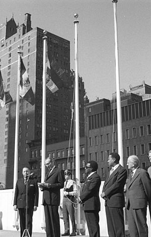 Bundesarchiv Bild 183-M0925-314, Aufnahme der DDR in die UNO