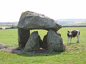 Burial chamber Abercastle