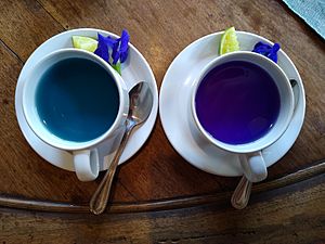 Butterfly-pea flower tea 3