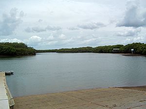 Cabbage Tree Creek