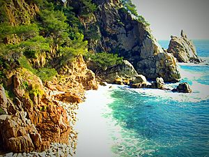 Cala S'Agulla (Blanes)