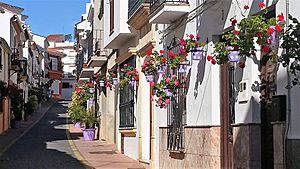 Calle papuecas one side - Estepona Garden of the Costa del Sol