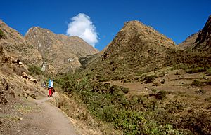 Camino-inca-dia2-c01