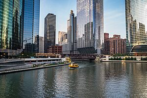 Chicago River Morning (44455011711)