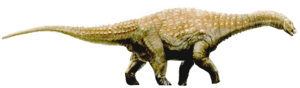 Diamantinasaurus