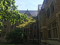 Dillon Hall windows