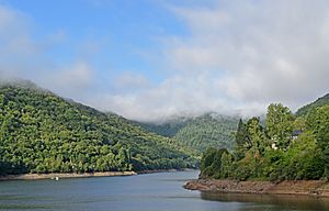 Dordogne-pres-du-pont-de-Chambon-DSC 0403