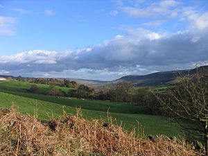 Farndale April 2009.jpg