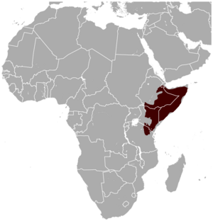 Gerenuk Litocranius walleri distribution map.png