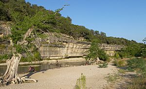 Guadalupe river state park bluff.jpg