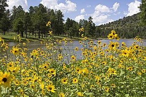 Kaibab Lake Campground