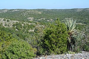 Kickapoo Cavern State Park, landscape