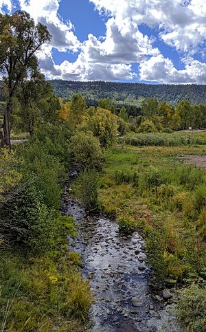 Little Navajo River at US-84