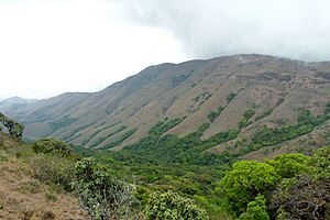 MadupumalaMukurthi