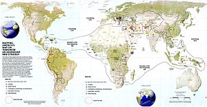 Map of the Pentagon's War on Terrorism strategy 2010