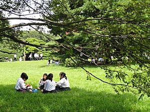 Meiji Shrine - DSC05018