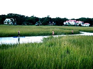 Mount Pleasant - South Carolina