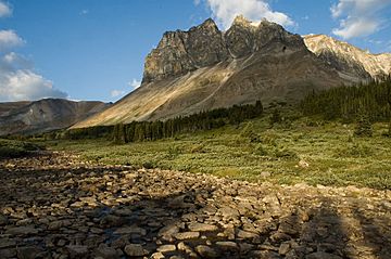 Mount Tekarra Maligne Range.jpg