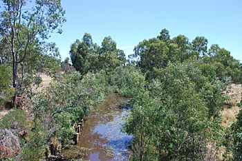 NewsteadLoddonRiver.JPG