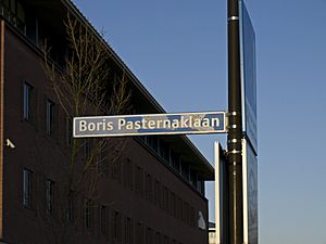 Pasternaklaan Zoetermeer