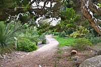 Quail botanical gardens