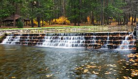 Ravensburg State Park Stairs.jpg