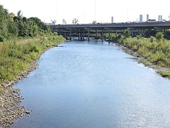 SR 315 Olentangy bridge 2018.jpg