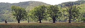 The "Seven Men of Moidart" - geograph.org.uk - 4656