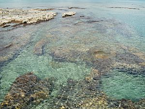 TurquoiseWatersPlayadelCarmen