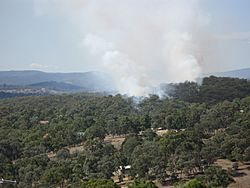 Warrandyte State Park backburning 08