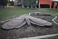 Acton - BIG Moths.jpg