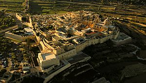 Aerial view Mdina, Malta