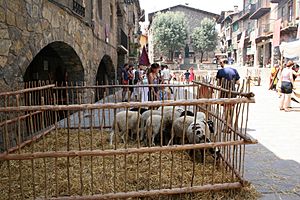 Bagà plaza porticada