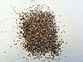 Black Pepper Grains.jpg