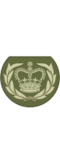 British Army OR-8b.svg