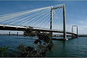 Cable Bridge Pasco WA.jpg