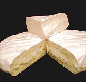 Camembert